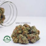 Buy Cannabis UK Cheese AA at MMJ Express Online Shop