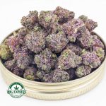 Buy Cannabis Purple Trainwreck AAAA (Popcorn Nugs) at MMJ Express Online Shop