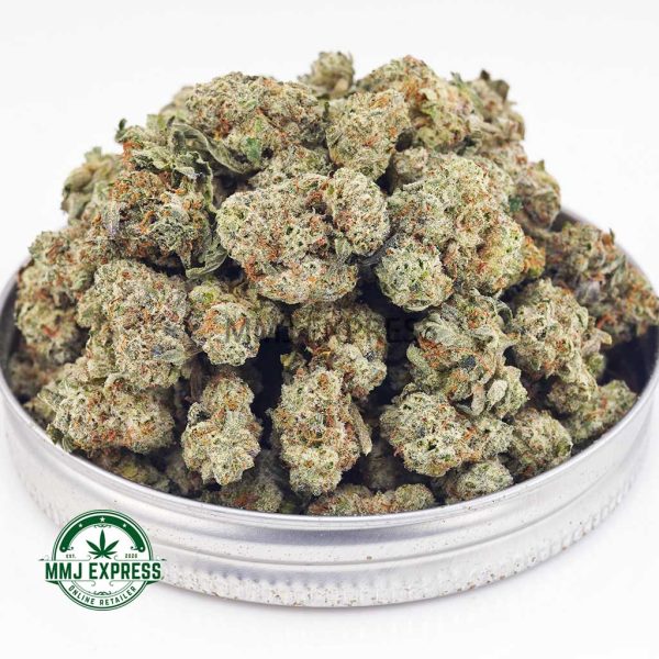Buy Cinderella 99 AAAA (Popcorn Nugs) Cannabis Online at MMJ Express
