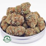 Buy Cannabis LA Kush Cake AAA at MMJ Express Online Shop