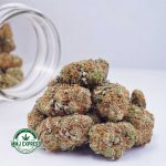 Buy Cannabis LA Kush Cake AAA at MMJ Express Online Shop