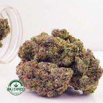 Buy Cannabis Holy Grail AAAA at MMJ Express Online Shop