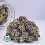 Buy Cannabis Berry Punch AAAA (Popcorn Nugs) at MMJ Express Online Shop