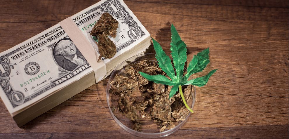 What are some of the best ways to find discounted cannabis? Let us help you! Take a quick look at the tips below, save your hard-earned cash, and smoke on!