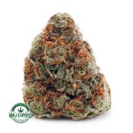 Buy Cannabis Tangie Punch AA at MMJ Express Online Shop