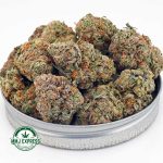 Buy Cannabis Tangie Punch AA at MMJ Express Online Shop