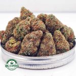 Buy Cannabis King Louis XIII AA at MMJ Express Online Shop