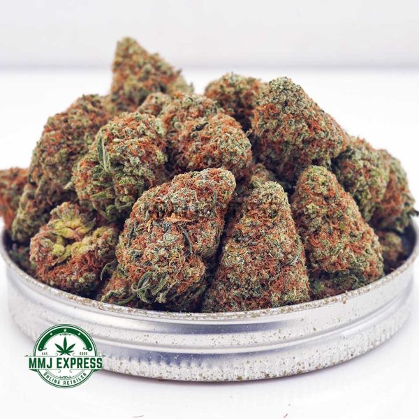 Buy Cannabis King Louis XIII AA at MMJ Express Online Shop