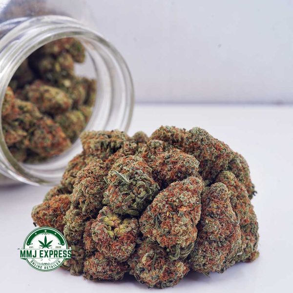 Buy Cannabis King Louis XIII AA at MMJ Express Online Shop
