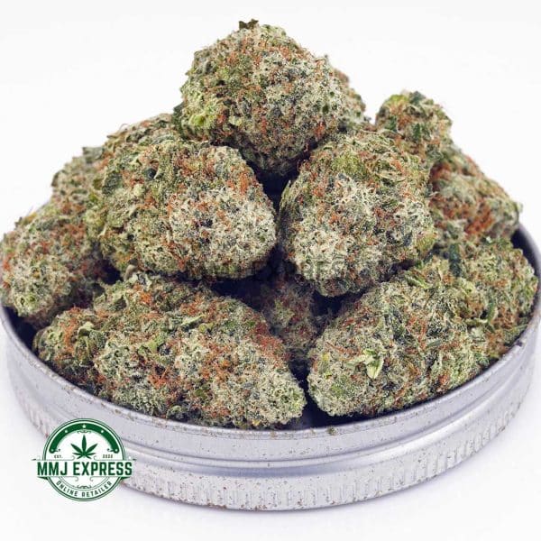 Buy Cannabis Pineapple Jack Herer AAA at MMJ Express Online Shop