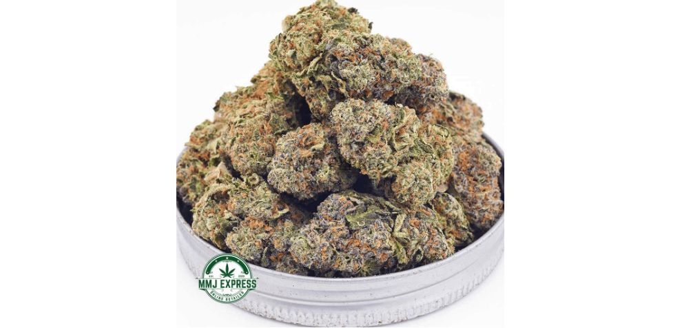 We’ll start off our list of high THC indica strains in Canada with Ice Cream Cookies, an offspring of Gelato 33, and Wedding Cake weed strains.