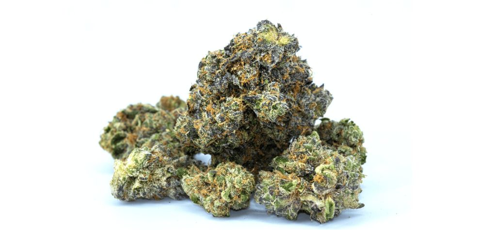 The original Acapulco Gold strain is a pure sativa landrace bud. This means you can expect very powerful, mind-focused, and energizing effects.