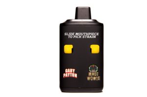 Buy Straight Goods – Dual Chamber Vape – Gary Payton + Maui Wowie 6G THC at MMJ Express Online Shop