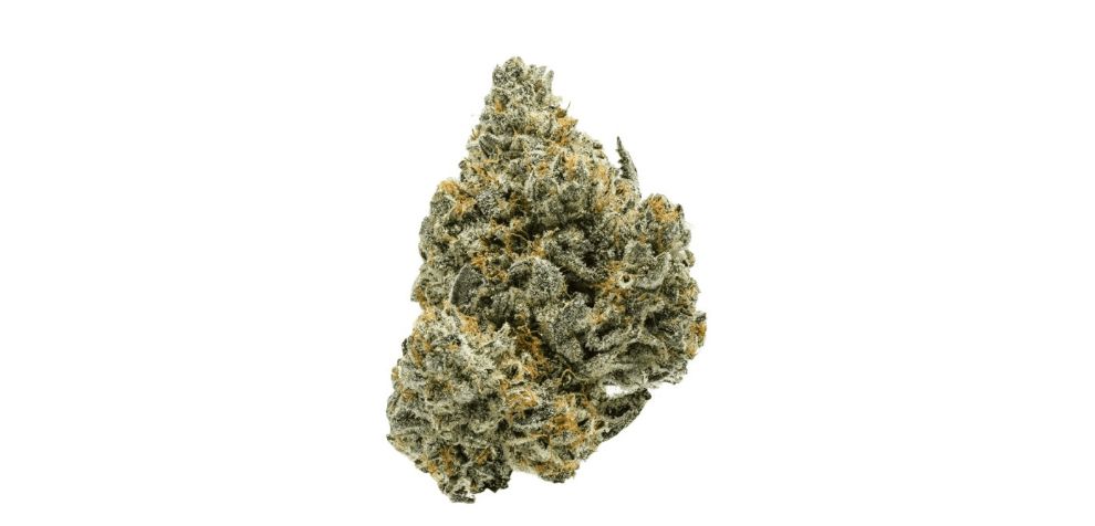 So, you're digging the Apple Fritter weed strain vibes and wondering, "Where do I find this goodness?" Well, opting to buy weed online is the smart move.