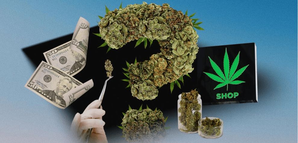 Luckily, we have a few expert tips and tricks for you to cut costs while enjoying premium-quality weed. 