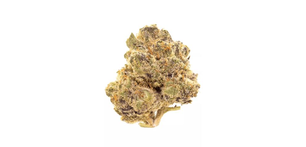 When you decide to order weed online, you're not just getting the Apple Fritter strain – oh no! It's like stepping into a cannabis wonderland where every desire is fulfilled.