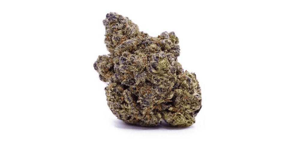 When you buy cannabis online in Canada MMJExpress stands out as a top-tier choice.