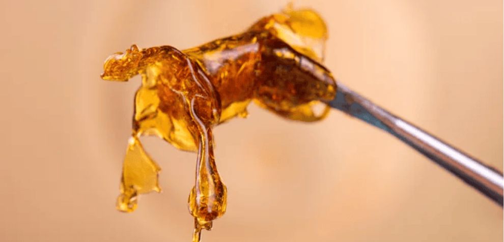 Choosing the right online dispensary in Canada to buy weed online in Canada is important for the best weed shatter experience. 