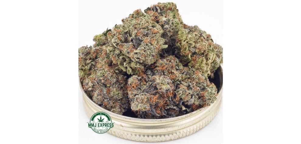 Buy Sativa weed online like Alaskan Thunder Fuck (ATF) AAA to get energized and focused. It's a strain for people with low energy levels who are sick and tired of feeling weak! 