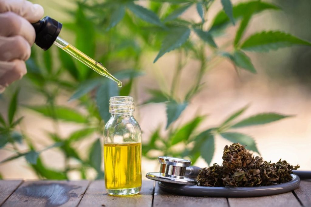 Oils with THC are life-changing, especially if you buy them from a reputable online dispensary in Canada. Learn about quality weed oils in this guide.