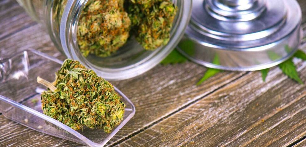 Just as much as the benefits of buying weed online are appealing, buying from the wrong dispensary weed can give the opposite results.