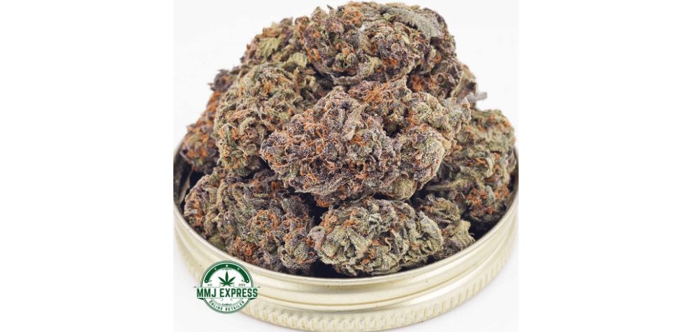 Blue Magoo is a strong kind of weed that comes from mixing Blue Heron and Platinum Girl Scout Cookies. It smells sweet and earthy, perfect for chilling after a busy day.