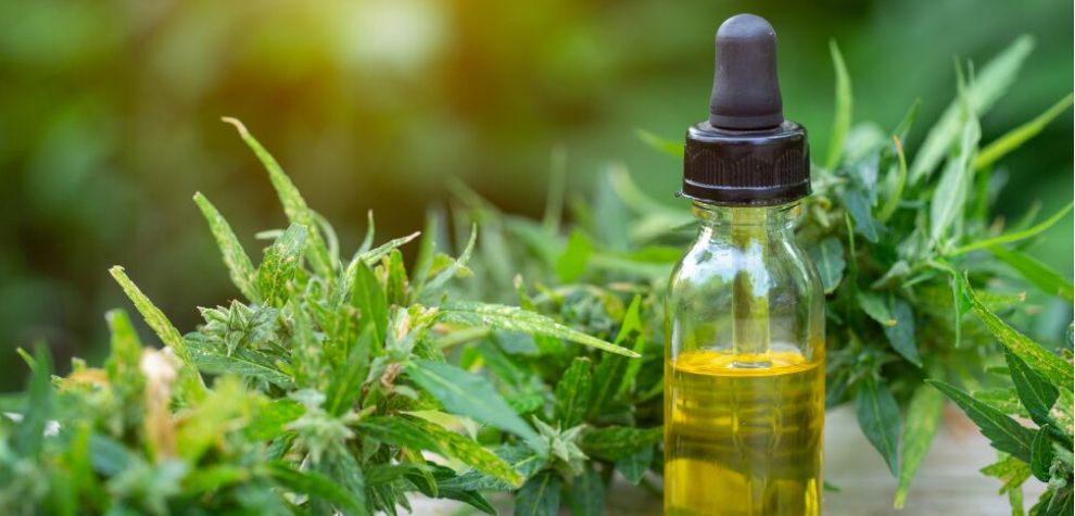 THC oil is always better when you buy it online. Why? Well, not only is purchasing a BC bud online more convenient, but it also comes with these advantages:
