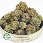 Buy Cannabis Death Pink AAAA (Popcorn Nugs) MMJ Express Online Shop