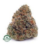 Buy Cannabis OG Tuna AA at MMJ Express Online Shop