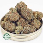 Buy Cannabis OG Tuna AA at MMJ Express Online Shop