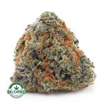 Buy Cannabis Grape God AAA at MMJ Express Online Shop