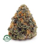 Buy Cannabis Acapulco Gold AA at MMJ Express Online Shop