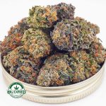 Buy Cannabis Acapulco Gold AA at MMJ Express Online Shop