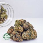 Buy Cannabis Acapulco Gold AA at MMJ Express Online Shop