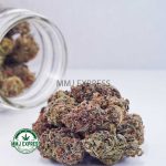 Buy Cannabis Blue Magoo  AAA at MMJ Express Online Shop