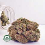 Buy Cannabis God Bud AAA at MMJ Express Online Shop