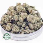 Buy Cannabis Gorilla Glue #4 AAAA (Popcorn Nugs)  at MMJ Express Online Shop