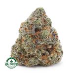Buy Cannabis Double OG AAA at MMJ Express Online Shop