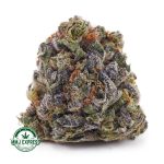 Buy Cannabis Durban Poison AAA at MMJ Express Online Shop
