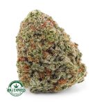 Buy Thin Mintz Cookies AA Cannabis at MMJ Express Online