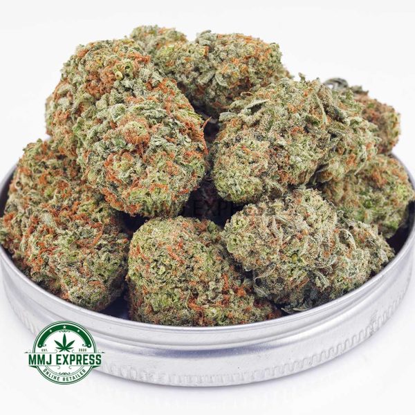 Buy Thin Mintz Cookies AA Cannabis at MMJ Express Online