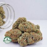 Buy Thin Mintz Cookies AA Cannabis at MMJ Express Online