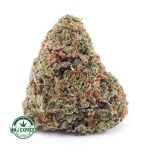 Buy Cannabis Atomic Northern Lights AAA at MMJ Express Online Shop