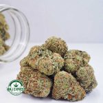 Buy Cannabis Atomic Northern Lights AAA at MMJ Express Online Shop