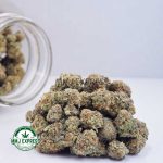 Buy Cannabis White Tahoe Cookies AAAA (Popcorn Nugs) MMJ Express Online Shop
