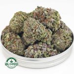 Buy Cannabis Purple Haze AAA at MMJ Express Online Shop