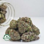 Buy Cannabis Purple Haze AAA at MMJ Express Online Shop