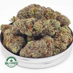Buy Cannabis Runtz AAA at MMJ Express Online Shop