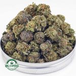 Buy Cannabis Gelato Cake AAAA (Popcorn Nugs) MMJ Express Online Shop