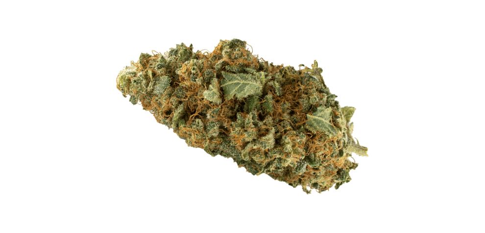 We are MMJ Express, an online weed dispensary providing weed smokers all across Canada with the highest quality bud. Conveniently, safely, reliably, and effectively. 